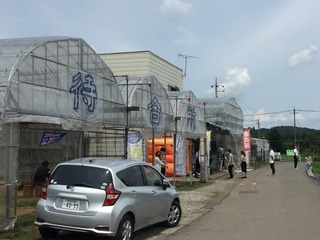 今回リトルティピ.jpg